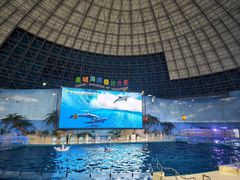 -泉城欧乐堡海洋极地世界