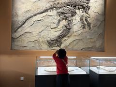 -辽宁古生物博物馆