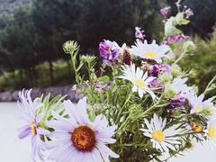 -白草畔自然风景区