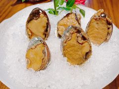 手工冰镇鲍鱼-木棉·醉心粤味(COCO Park店)