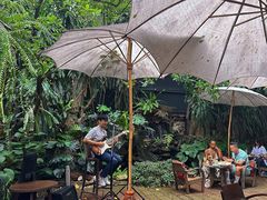 -Fern Forest Cafe