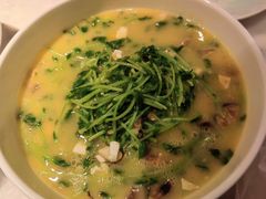 上汤豌豆苗-雀蓝川菜(奥体广场店)