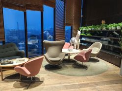 -NEW FACE烫染专业店