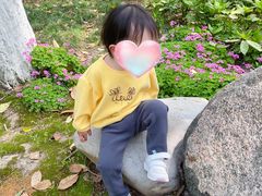 -合肥滨湖国家森林公园