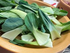 -龍歌自助小火锅(市南金茂湾店)