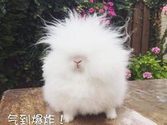 -江户家·日本料理·铁板烧(汉江东路店)