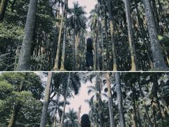 -中国科学院华南植物园