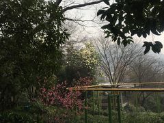 -杭州少年儿童公园