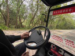 -盐城丹顶鹤湿地生态旅游区