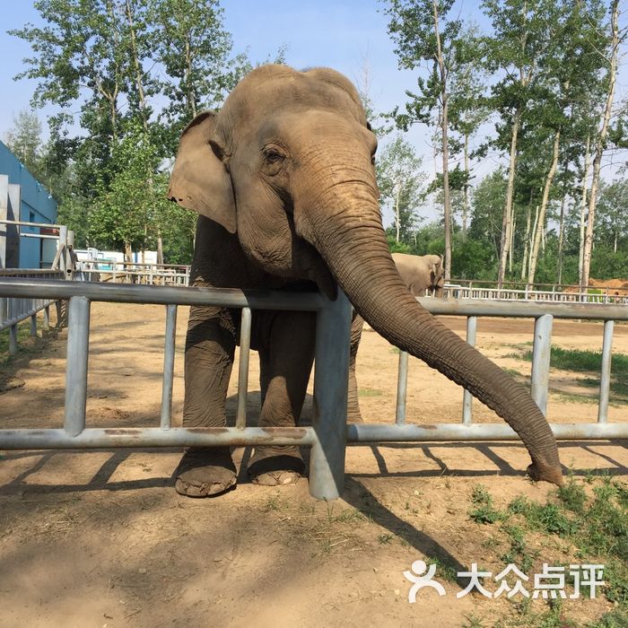 秦皇岛野生动物园