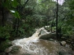 -王顺山国家森林公园