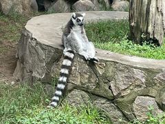 -西安秦岭野生动物园
