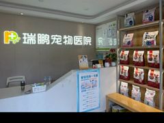 -瑞鹏宠物医院•异宠•宠保定点•流浪定点救助宠物医院(青祁店)