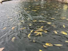 -天源渔港农庄