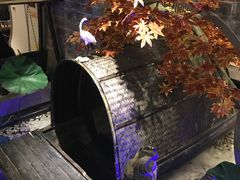 -老宁波1381餐厅(宏泰广场店)