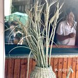 十一长假去哪儿浪🌊