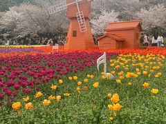 -苏州上方山国家森林公园