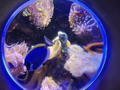 -太平洋海底世界