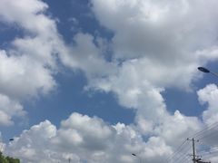 -碧海金沙