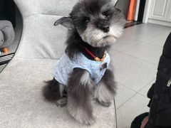 -派特宠物医院(圆融广场店)