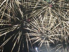 演出-大连海昌发现王国主题公园