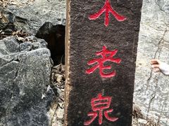 -九龙潭景区