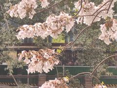 -红星桥(地铁站)