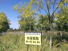 -东郊湿地公园