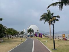 -野狸岛
