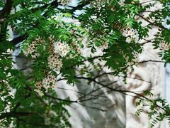 -北京石刻艺术博物馆(五塔寺)