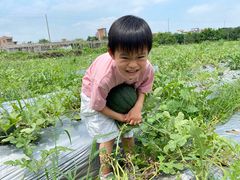 -尚果生态采摘园