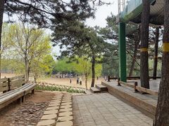 -北京西山国家森林公园