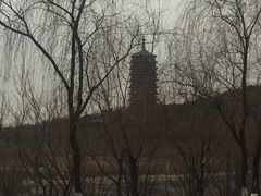 -永定河休闲森林公园