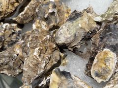 -星伦多自助料理·涮烤一体(嘉兴八佰伴店)