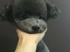 -沐沐家宠物(成寿寺店)