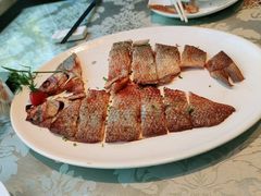 -丽华园(青少年宫店)