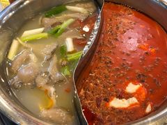 -朱氏胖子烂火锅(洪崖洞店)
