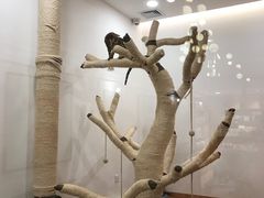 -袖虎·猫馆(体育西路店)