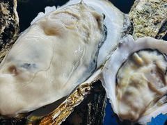 -土蚝·高压锅生蚝(百姓美食街店)