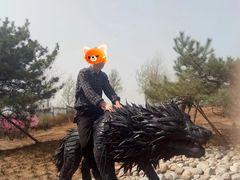 -济南植物园