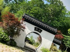 -上海共青森林公园