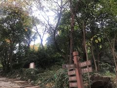 -采石矶景区