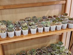 -海底捞火锅(泰安爱琴海店)