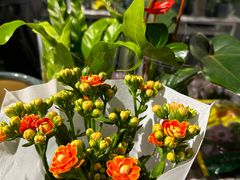 -肉串汪(望京店)