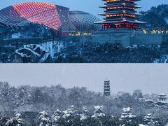 -灵谷景区