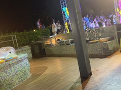-渔家火锅·海鲜自助餐·演艺(亚龙湾天域酒店)