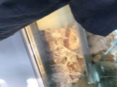 -甜嘟嘟烘焙坊(舒城路店)