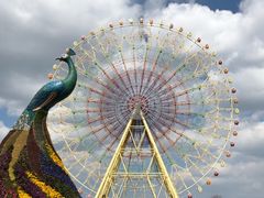 -七彩云南欢乐世界