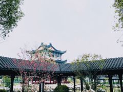 -葛仙湖公园