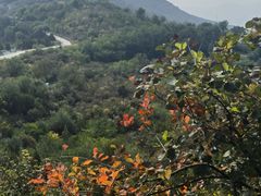 -北京西山国家森林公园